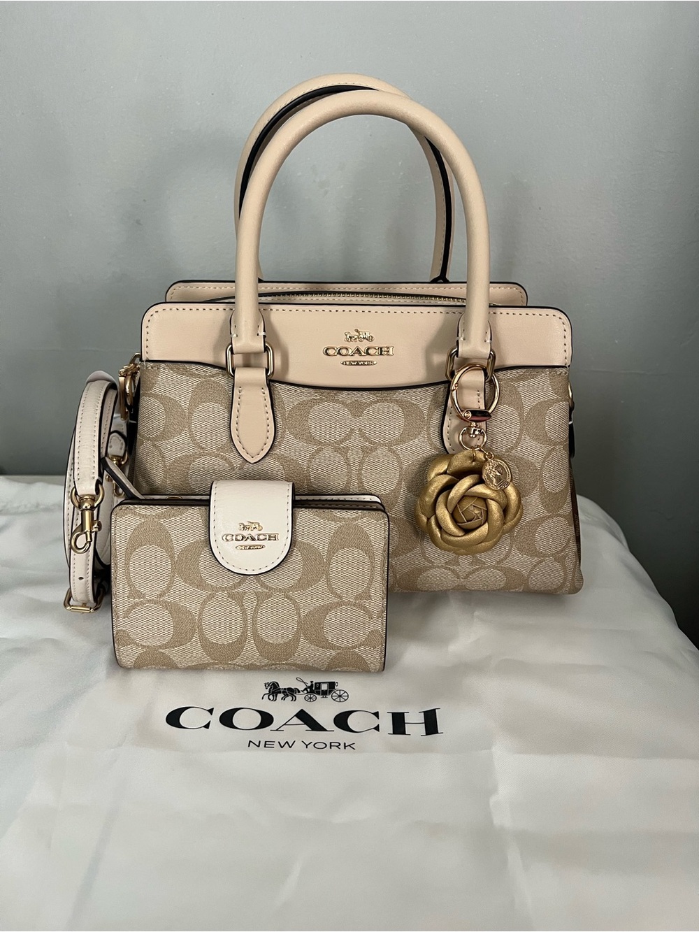 Coach Mini Darcie Carryall In Blocked Signature Canvas With Wallet